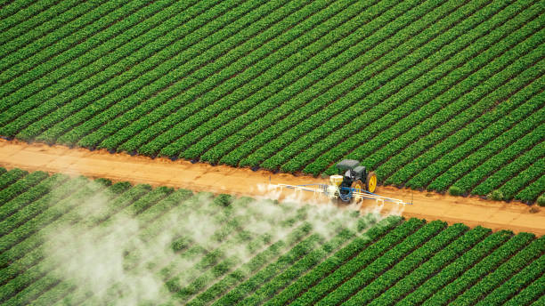 Best Pest Control Near Me in Nettleton, MS