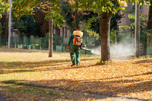 Best Pest Prevention Services  in Nettleton, MS